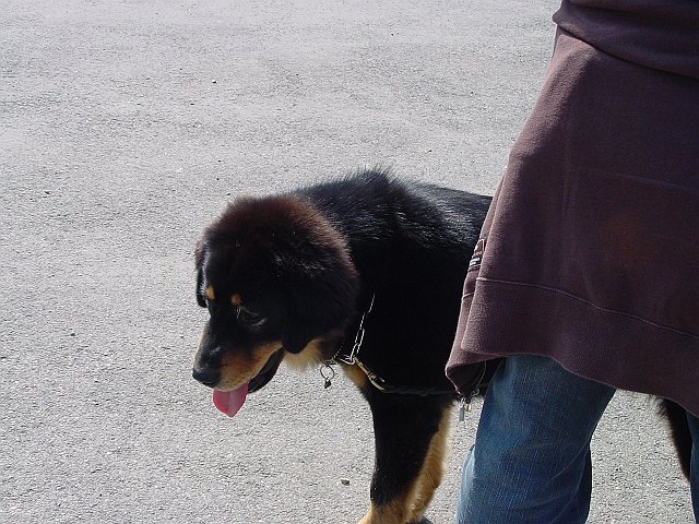 Immagine 005.jpg